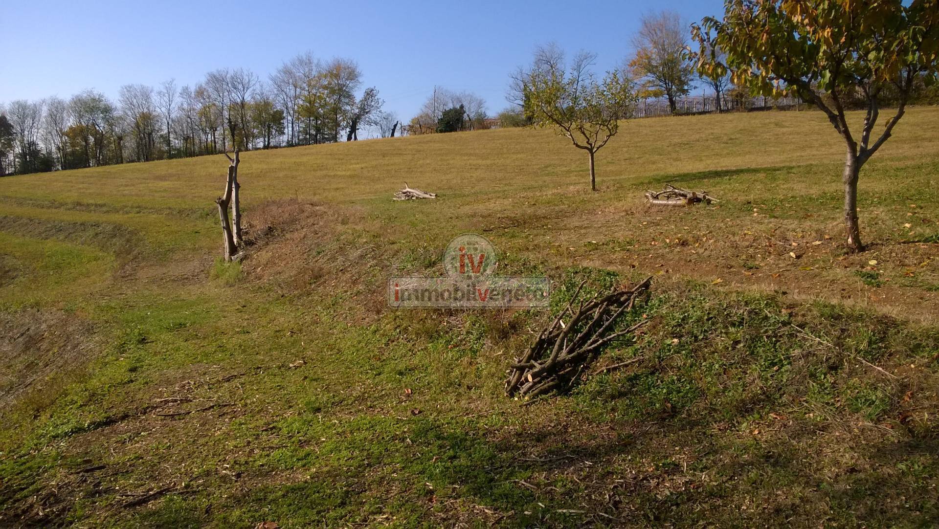 Terreno edificabile in vendita a Brendola, San Valentino