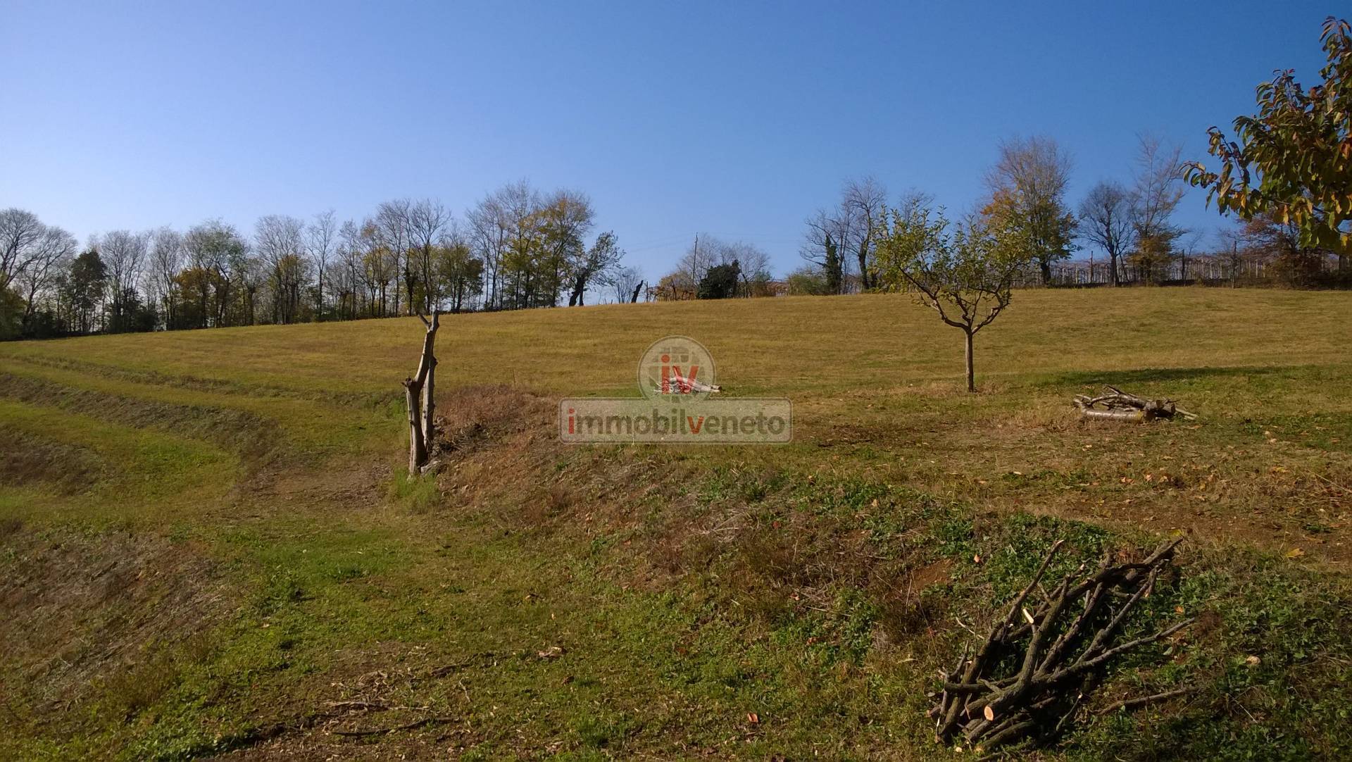Terreno edificabile in vendita a Brendola, San Valentino