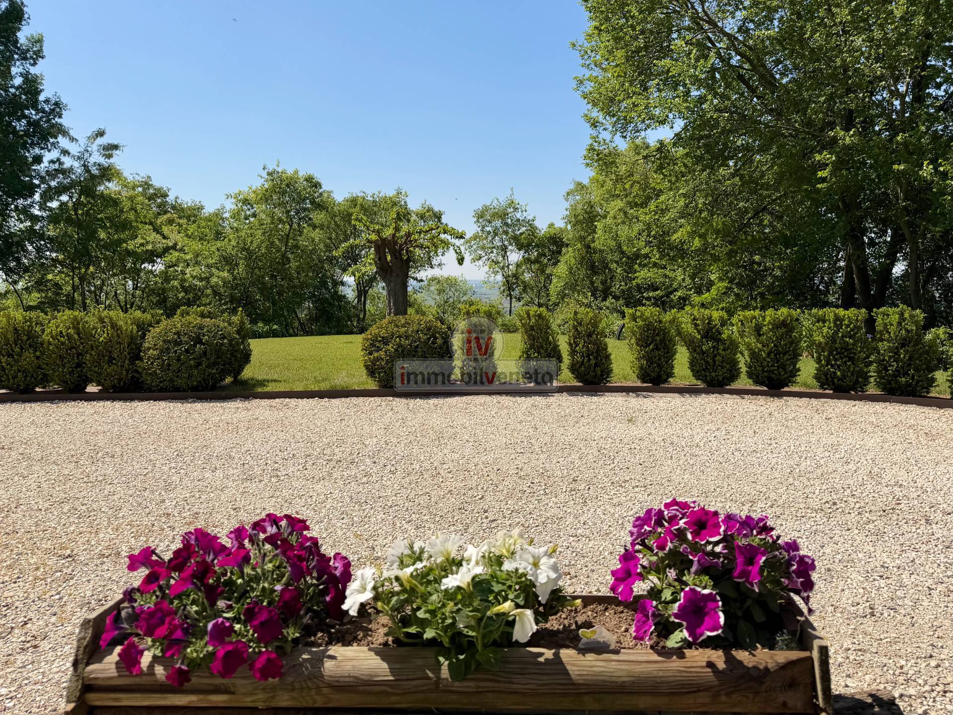 Casa singola in vendita a Lonigo