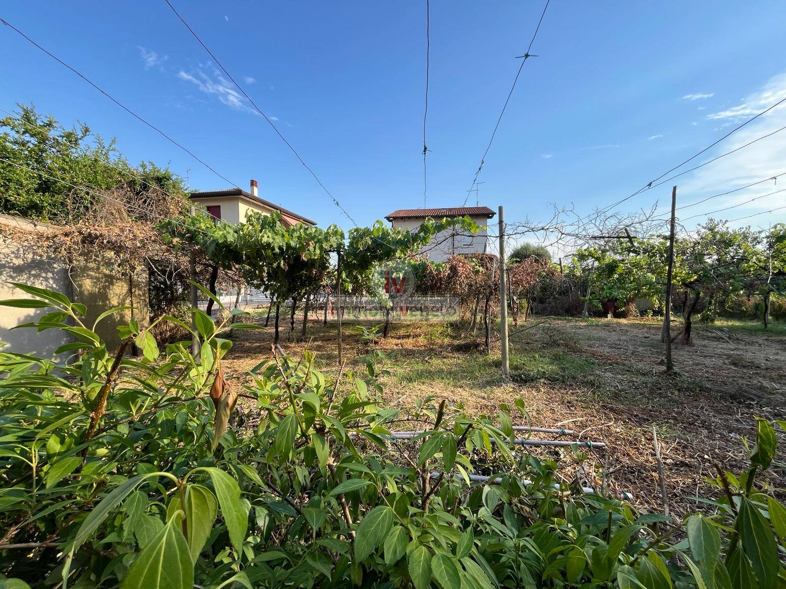 Casa singola in vendita a Lonigo