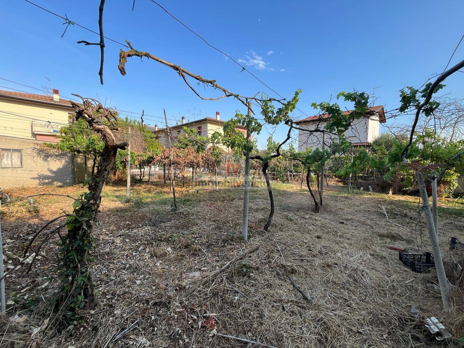 Casa singola in vendita a Lonigo