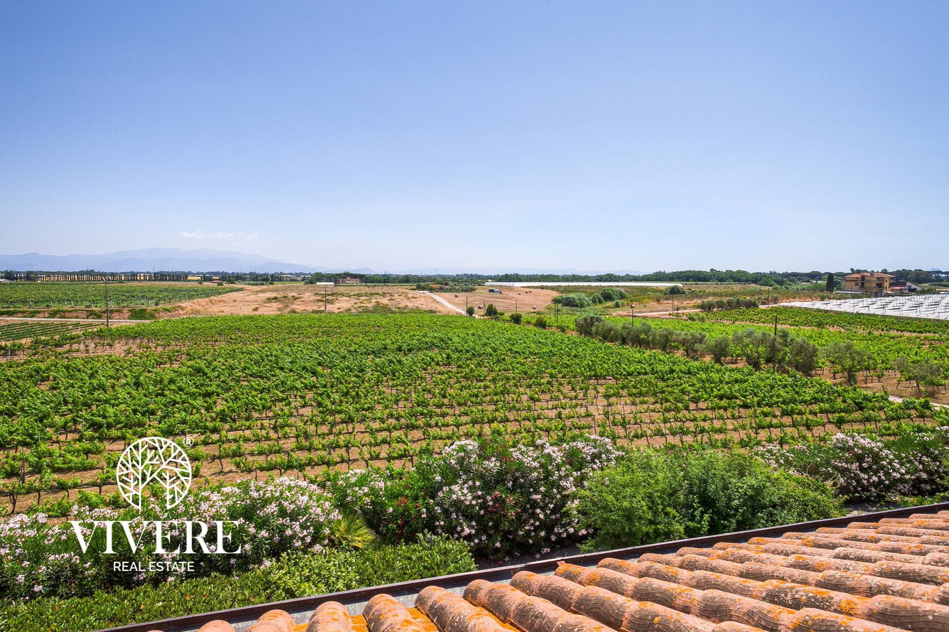 Terreno Agricolo in vendita a Latina, Acciarella