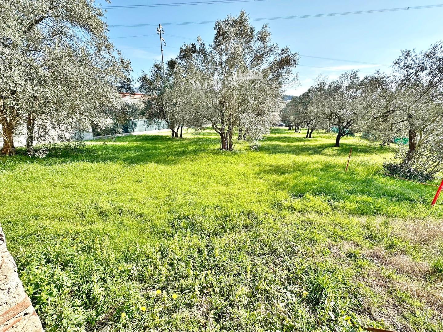 Casa indipendente con giardino a Calenzano