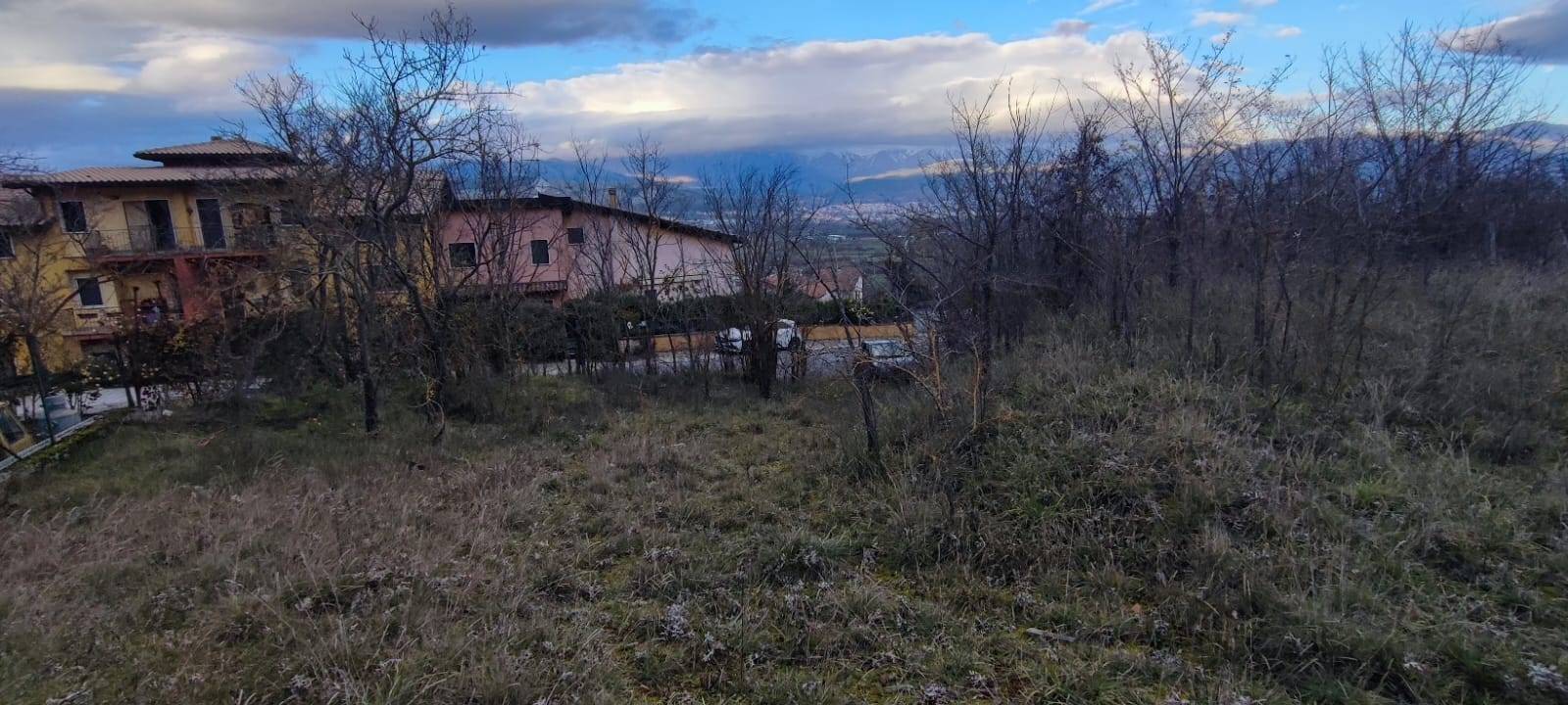 immagine annuncio 4 di 6