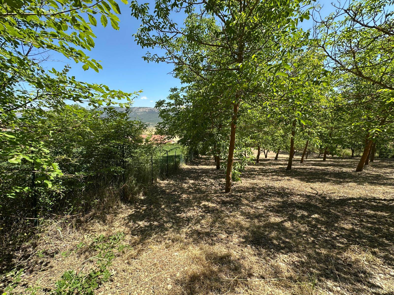 Terreno edificabile in vendita a Caporciano