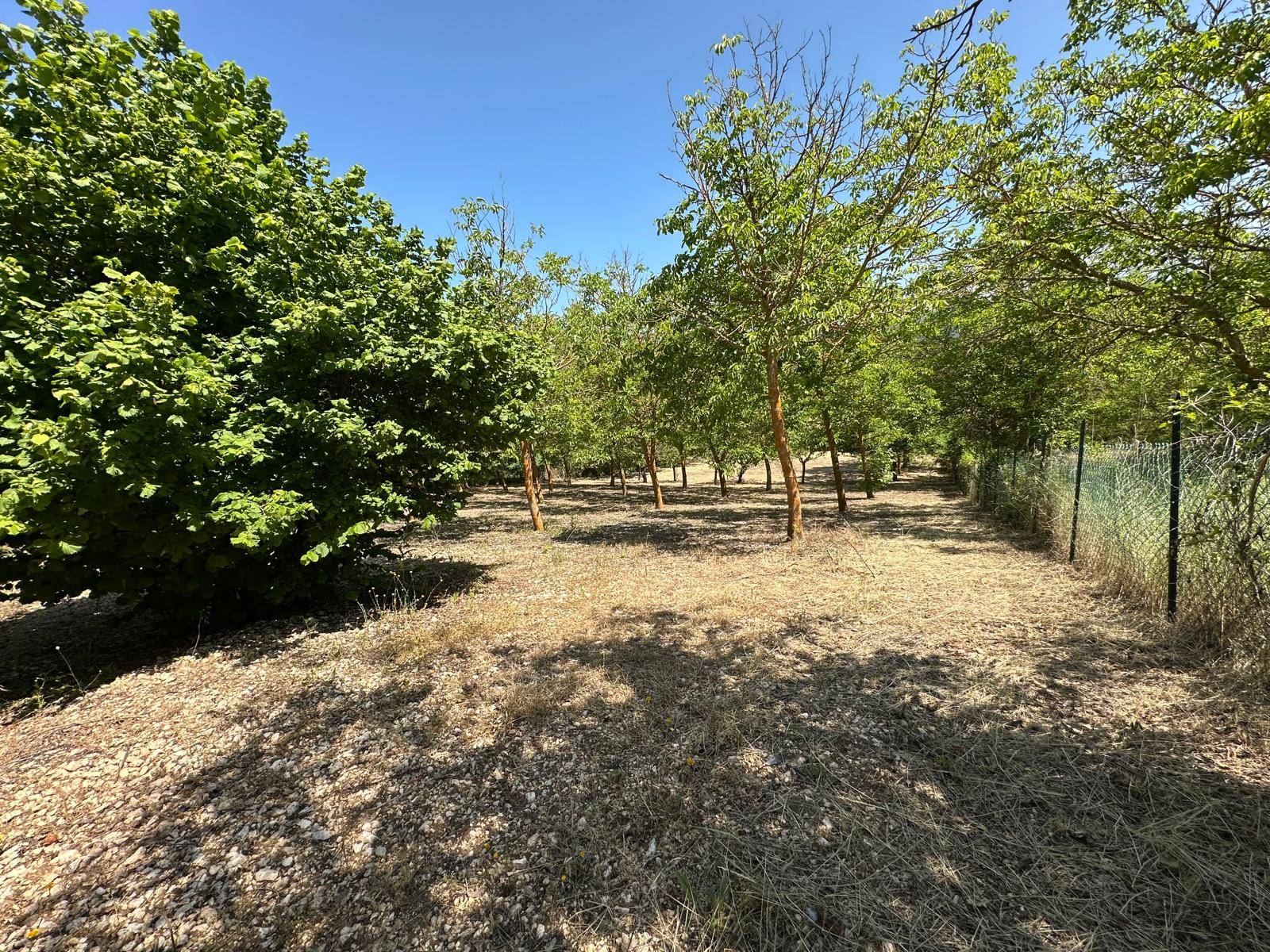 Terreno edificabile in vendita a Caporciano