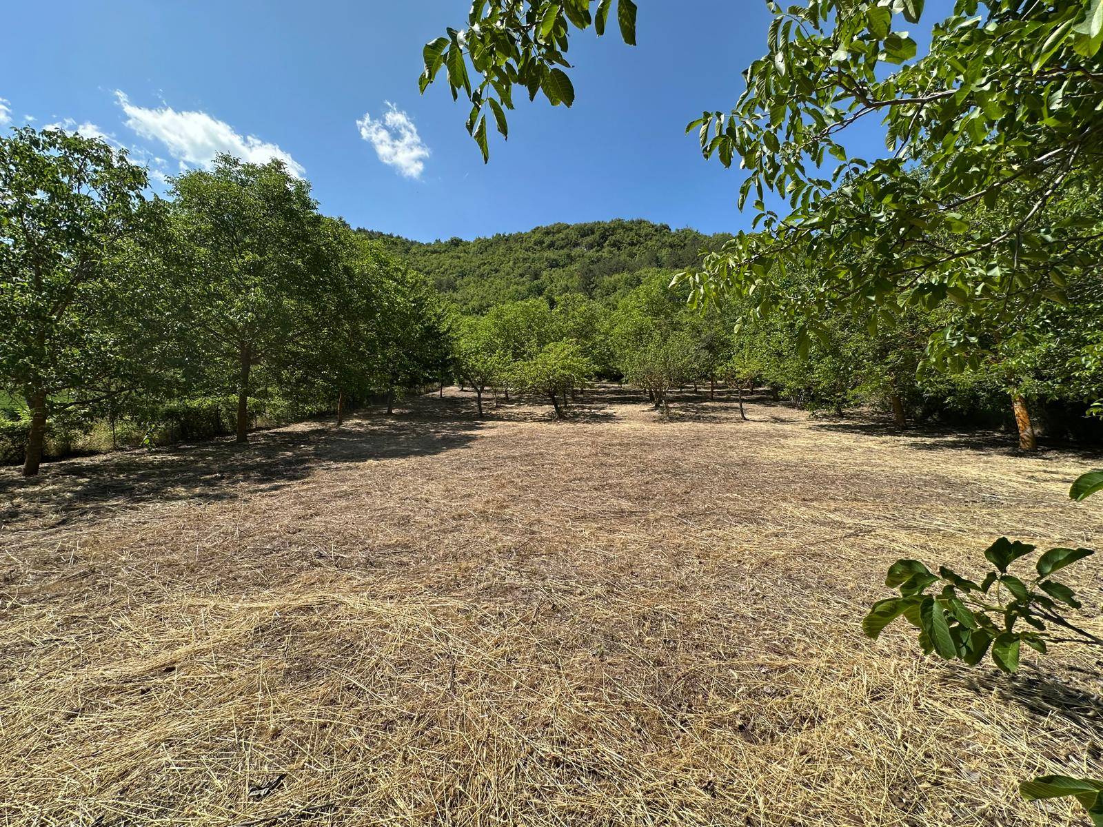 Terreno edificabile in vendita a Caporciano