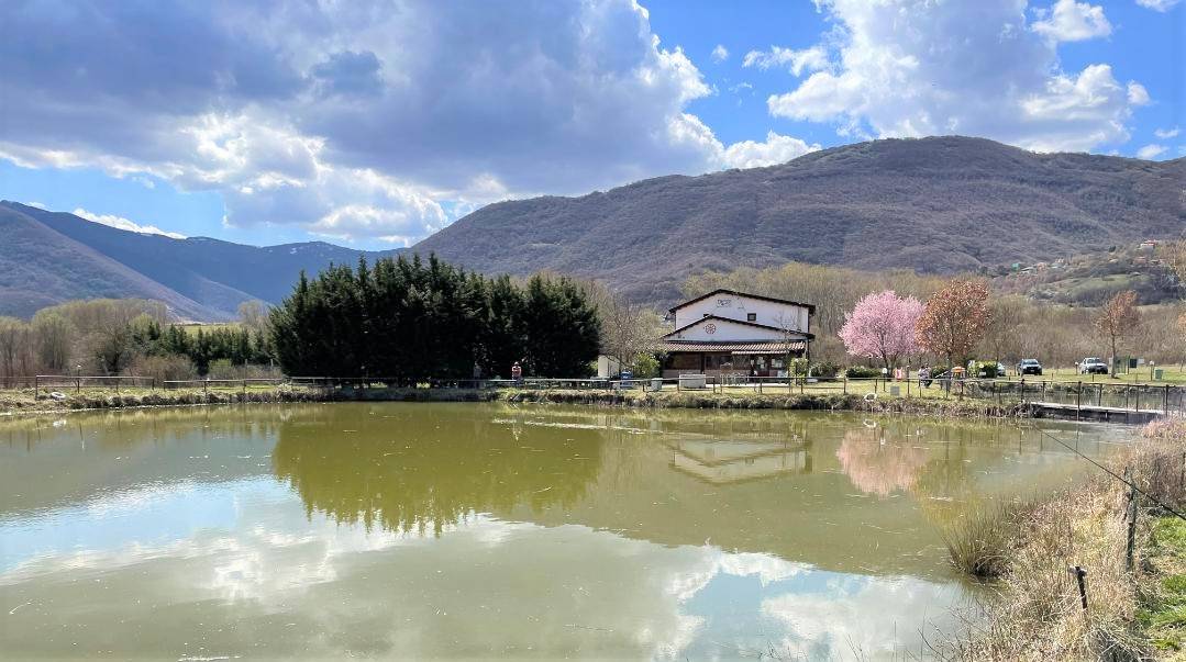 Attivit commerciale in vendita a Scoppito, Casale