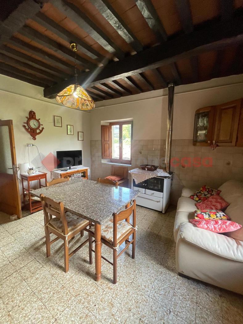 Casa indipendente in vendita a Minucciano