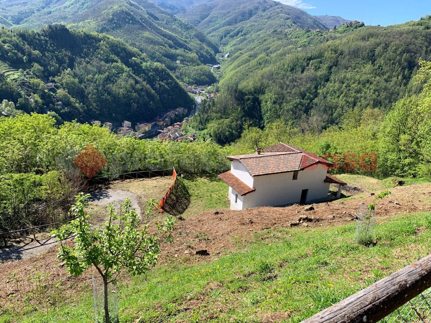 immagine annuncio 6 di 10