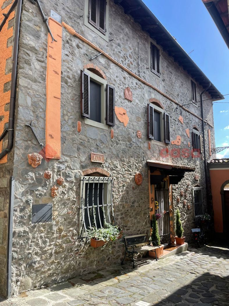 Casa indipendente in vendita a Pieve Fosciana