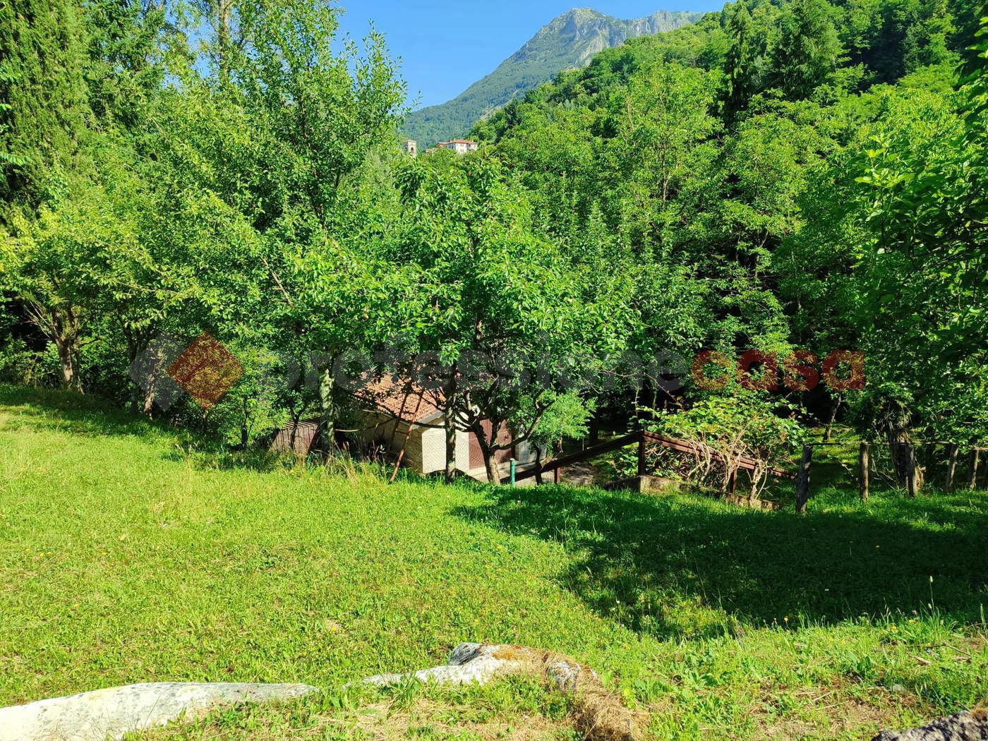 Rustico in vendita a Villa Collemandina