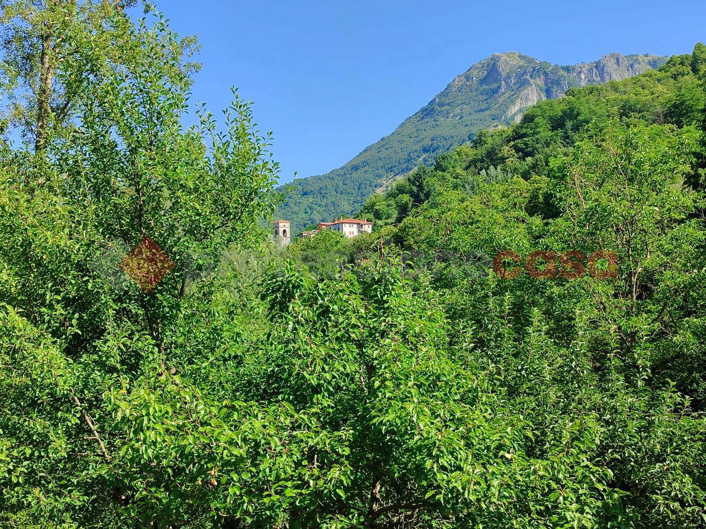 Rustico in vendita a Villa Collemandina