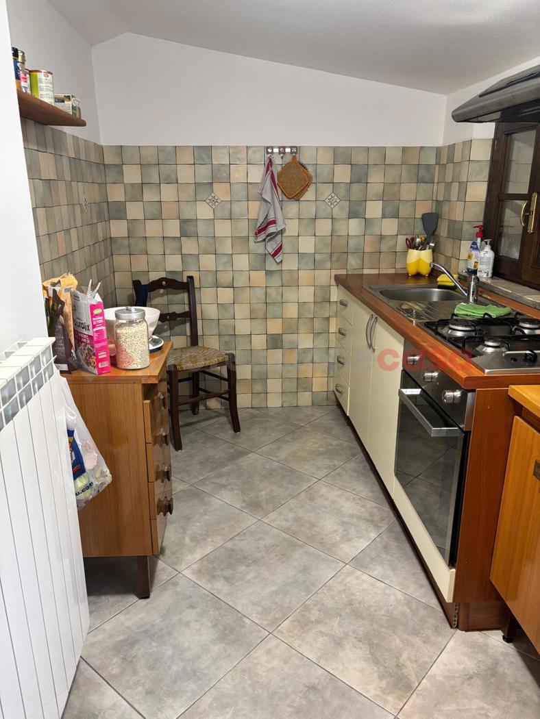 Bilocale in affitto a Castiglione di Garfagnana