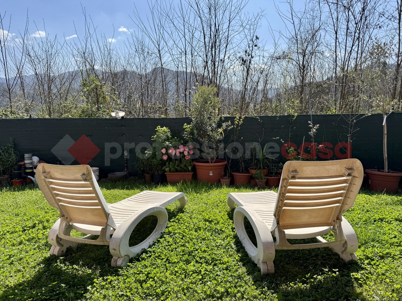 immagine annuncio 7 di 10