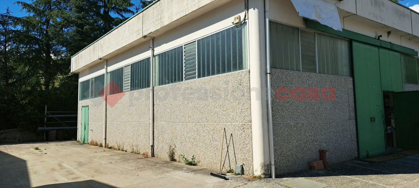 Capannone con box doppio a Piazza al Serchio