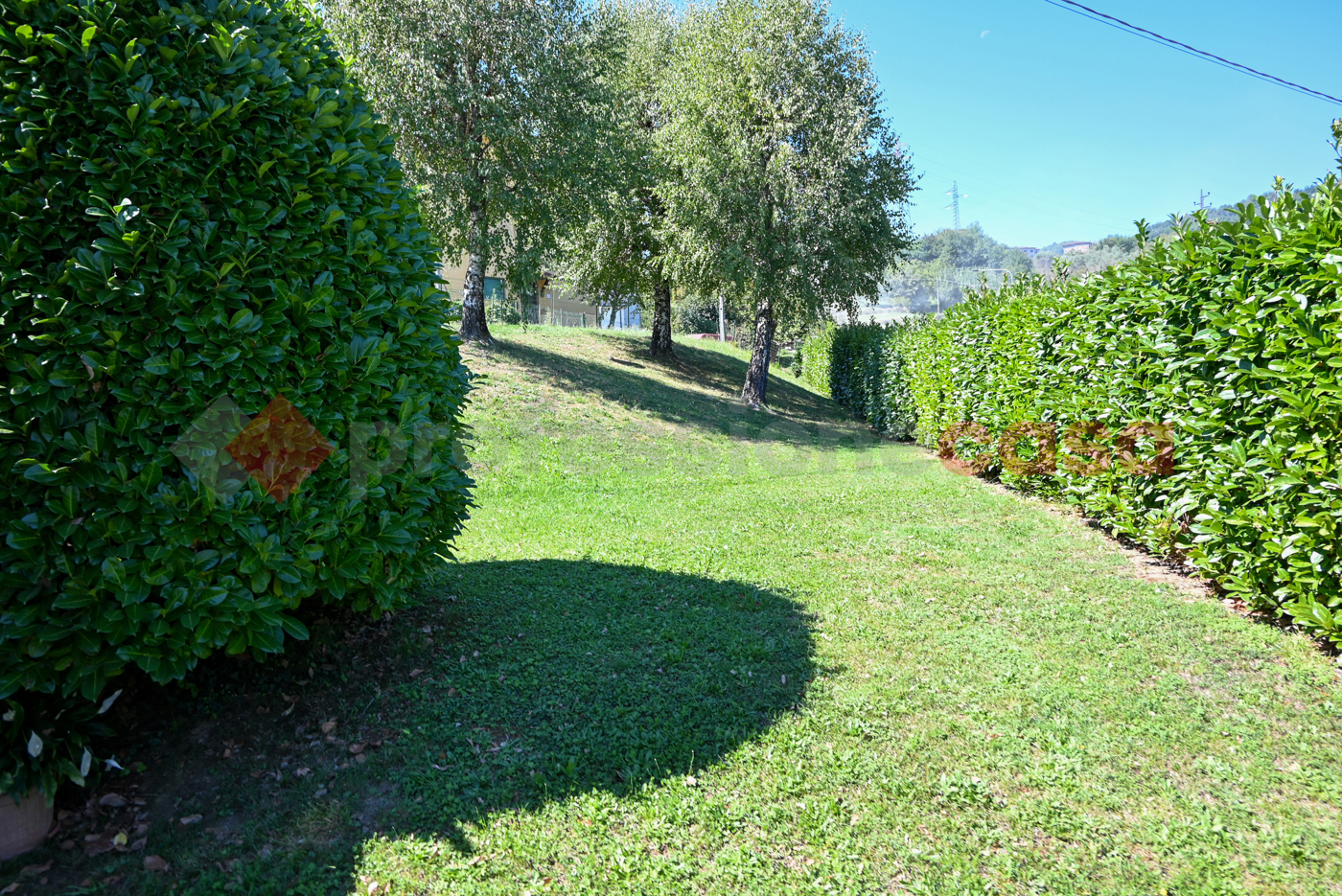 Villa Bifamiliare in vendita a Molazzana