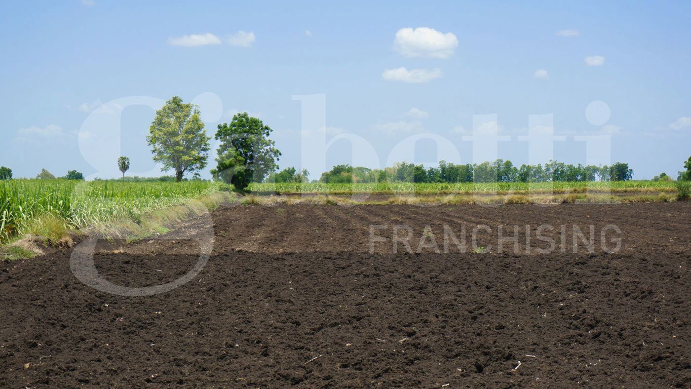 Terreno Agricolo in vendita a Camponogara
