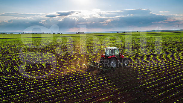 Terreno Agricolo in vendita a Camponogara