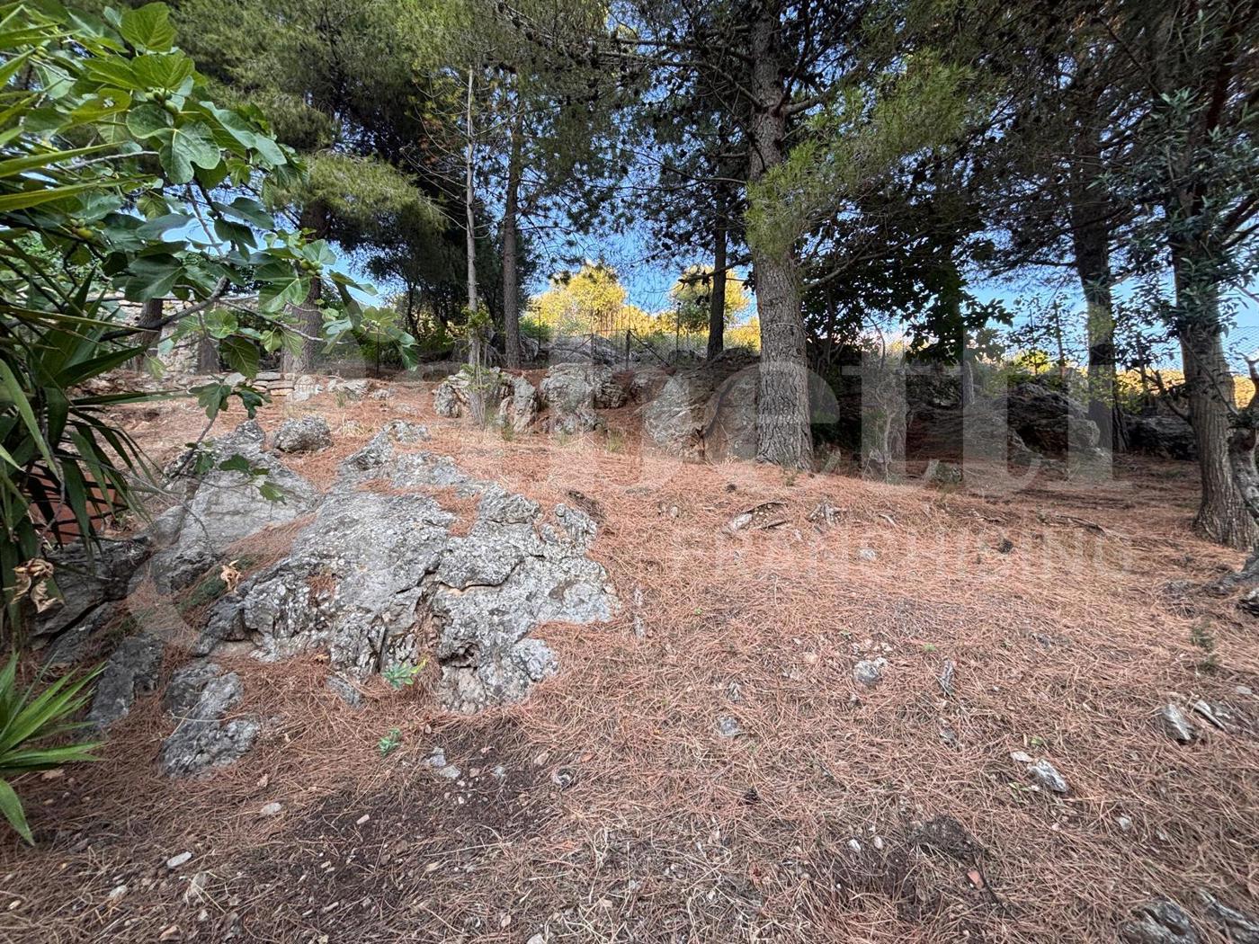 Villa con giardino a Belmonte Mezzagno