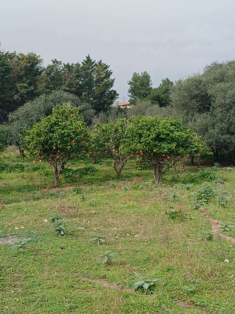 Magazzino in vendita a Bagheria