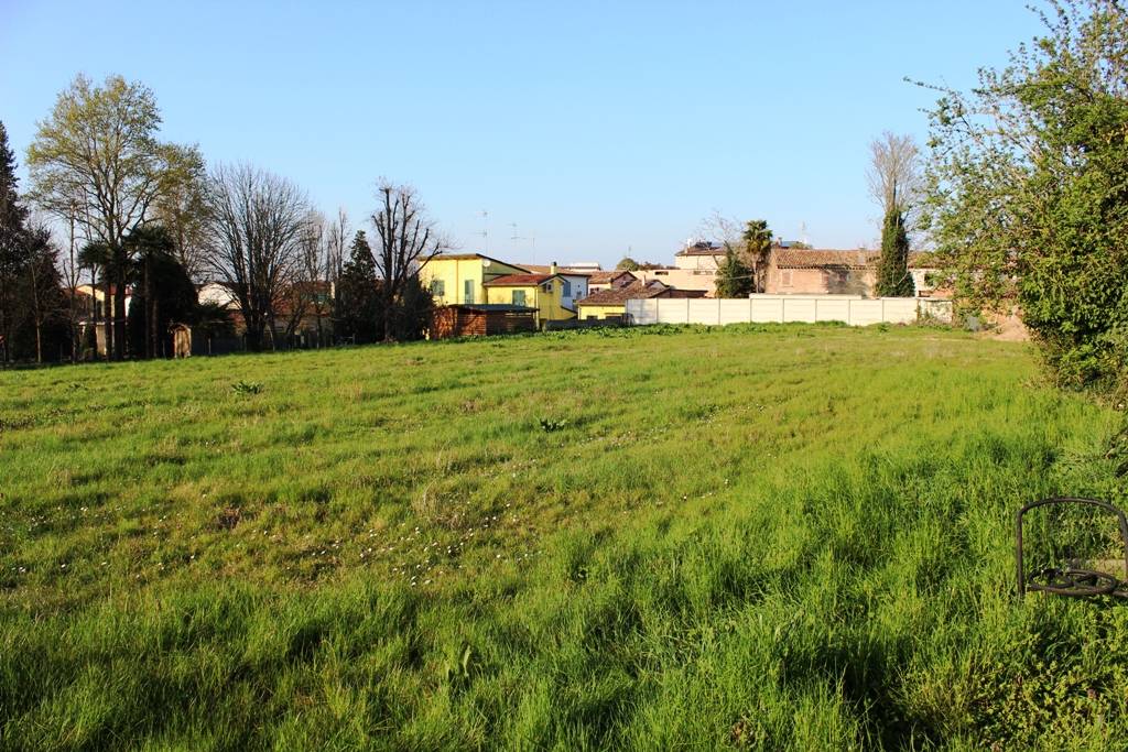 immagine annuncio 5 di 6