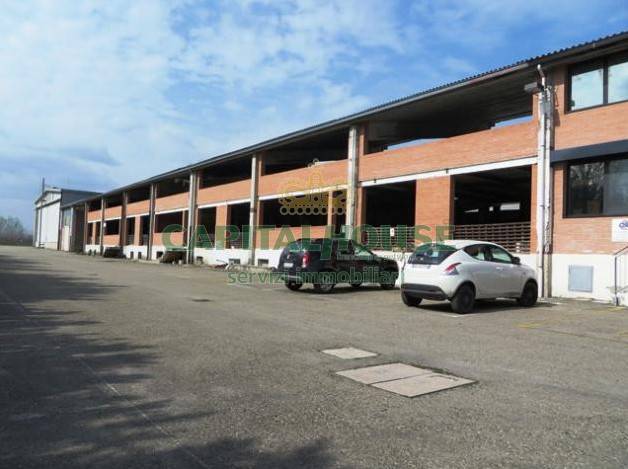 immagine annuncio 2 di 6