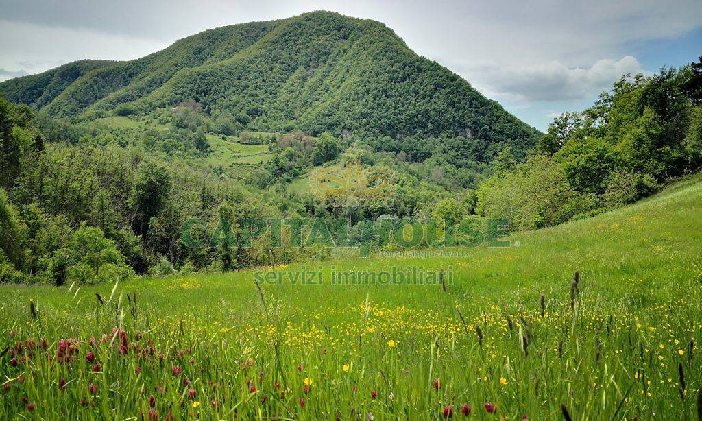 Terreno agricolo in vendita a Monzuno, Vado