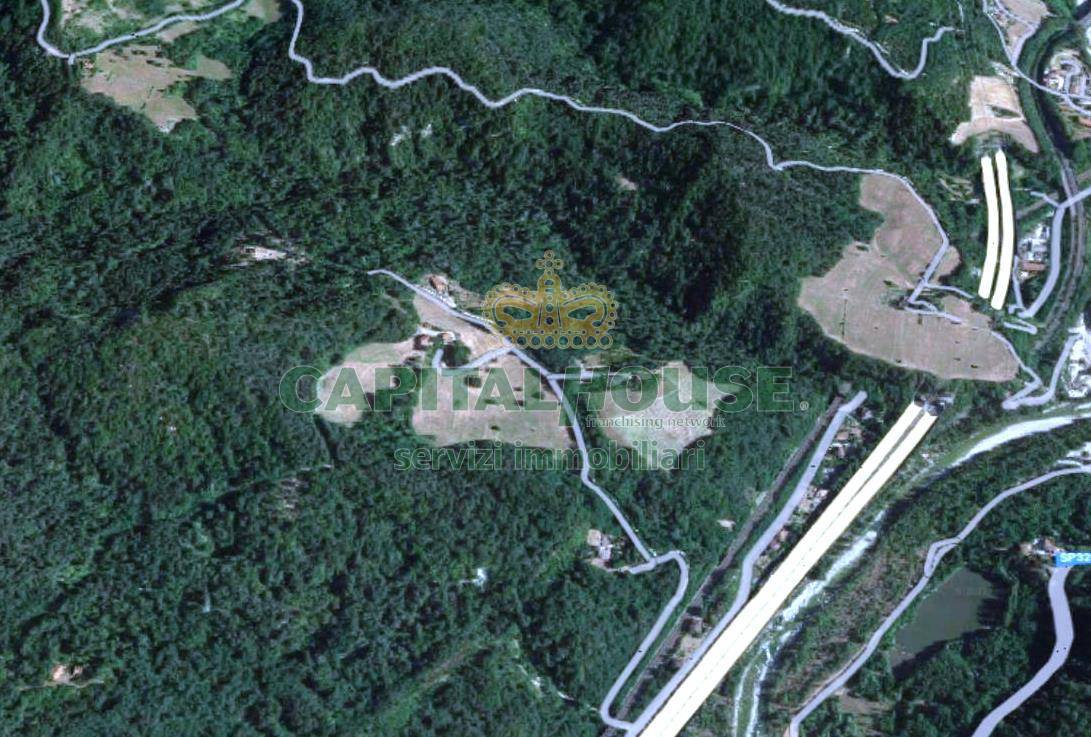 immagine annuncio 2 di 7