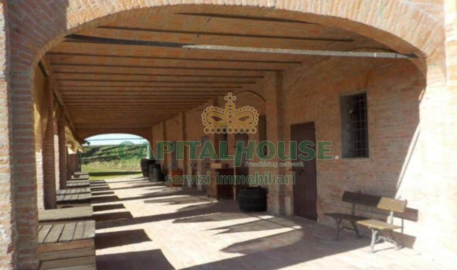 immagine annuncio 4 di 8