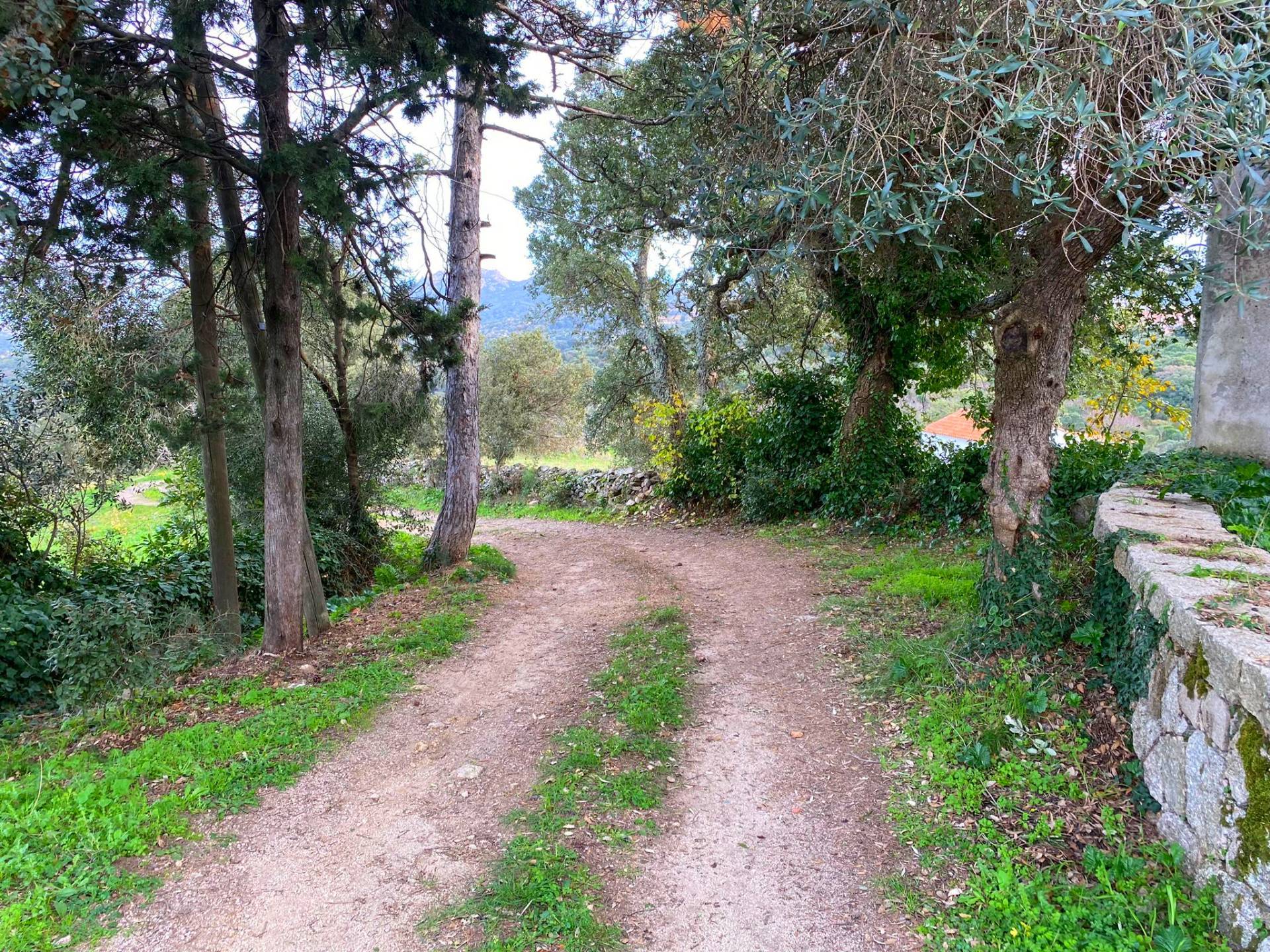 Casa indipendente con box doppio a Luras