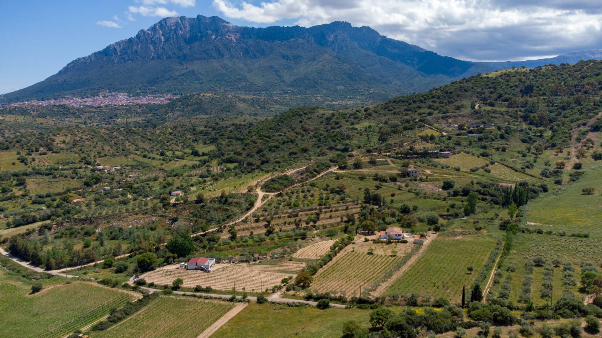 Villa singola in vendita a Oliena