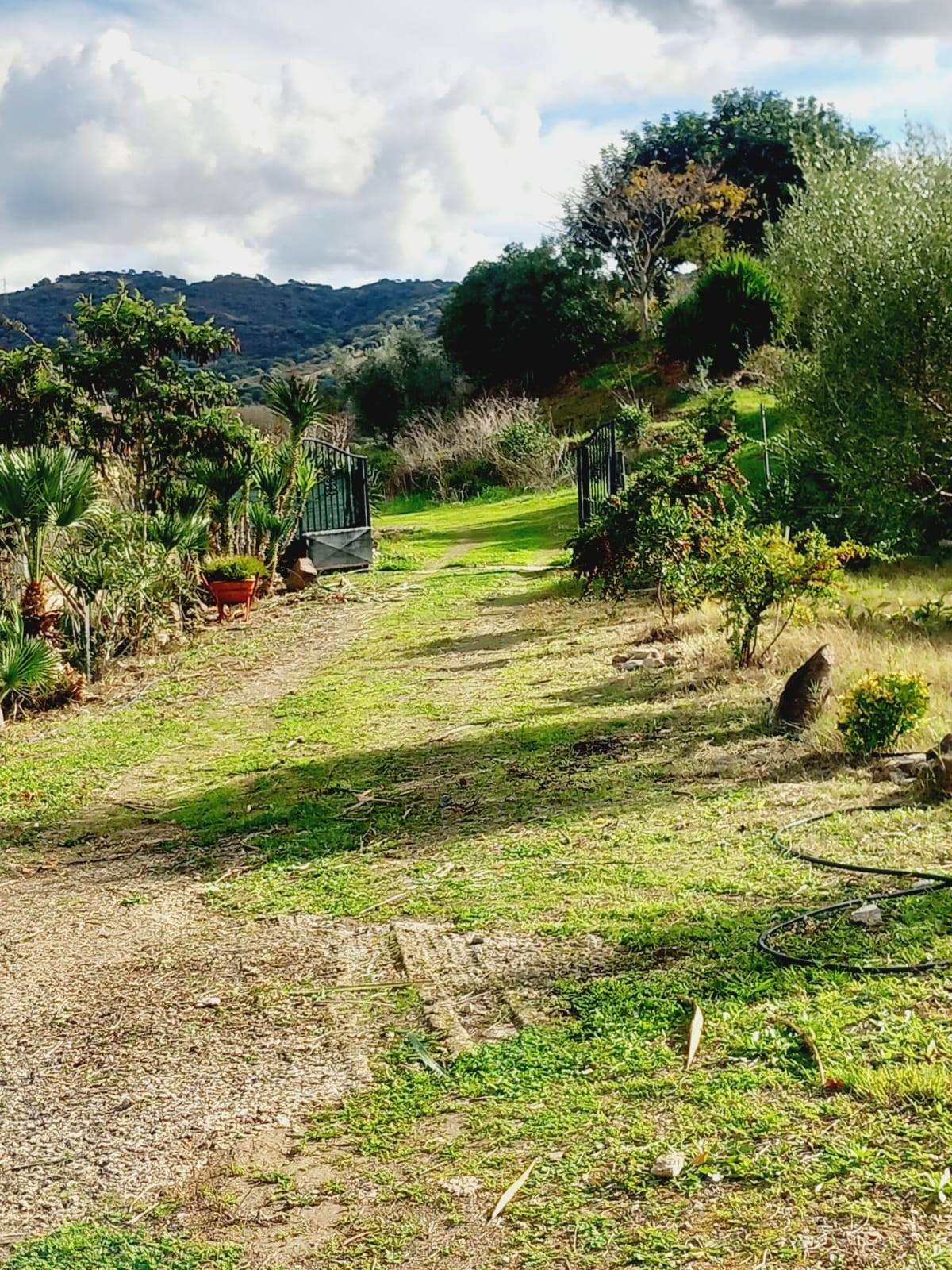 Villa o villino in vendita a Ozieri