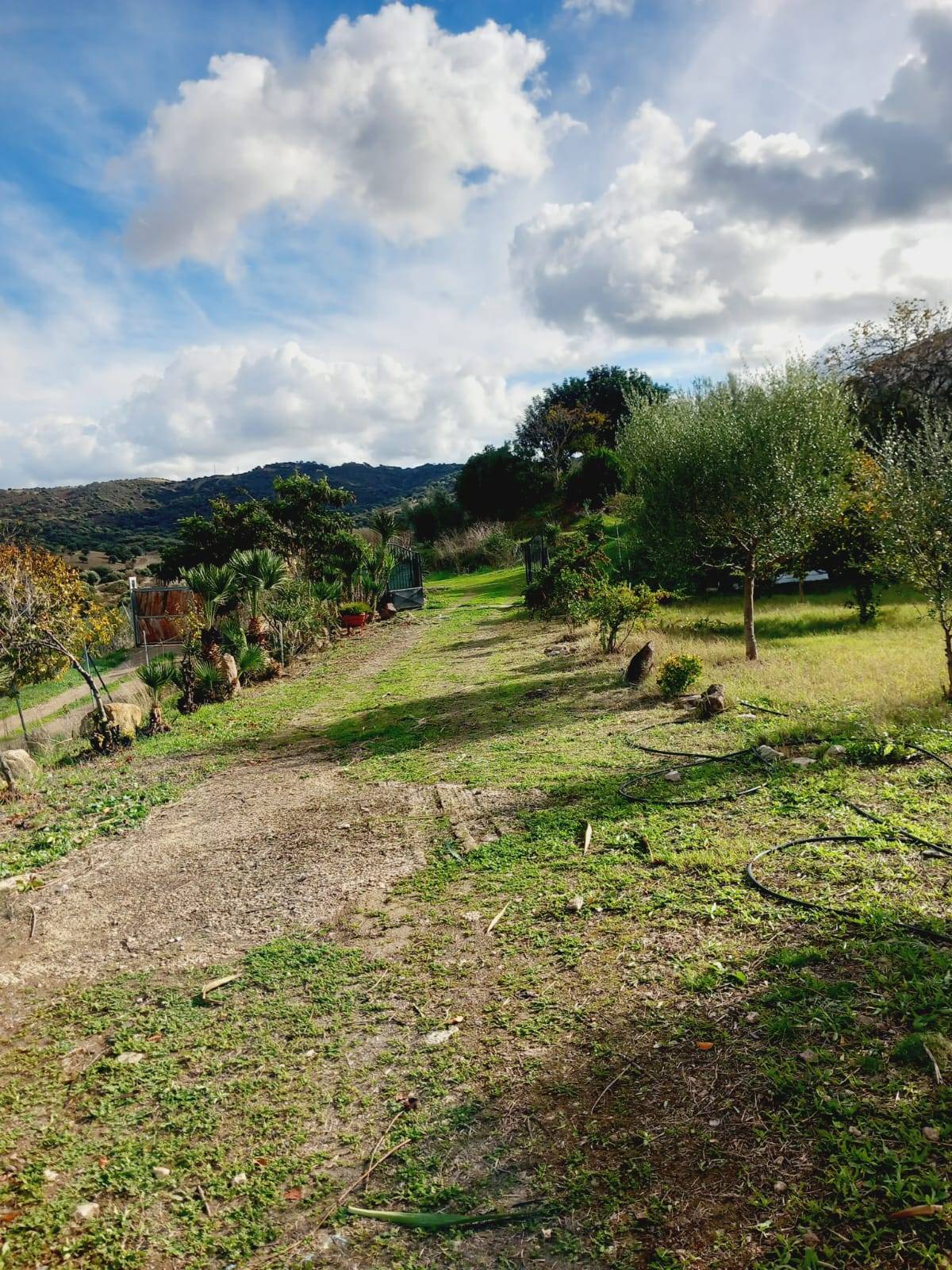 Villa o villino in vendita a Ozieri