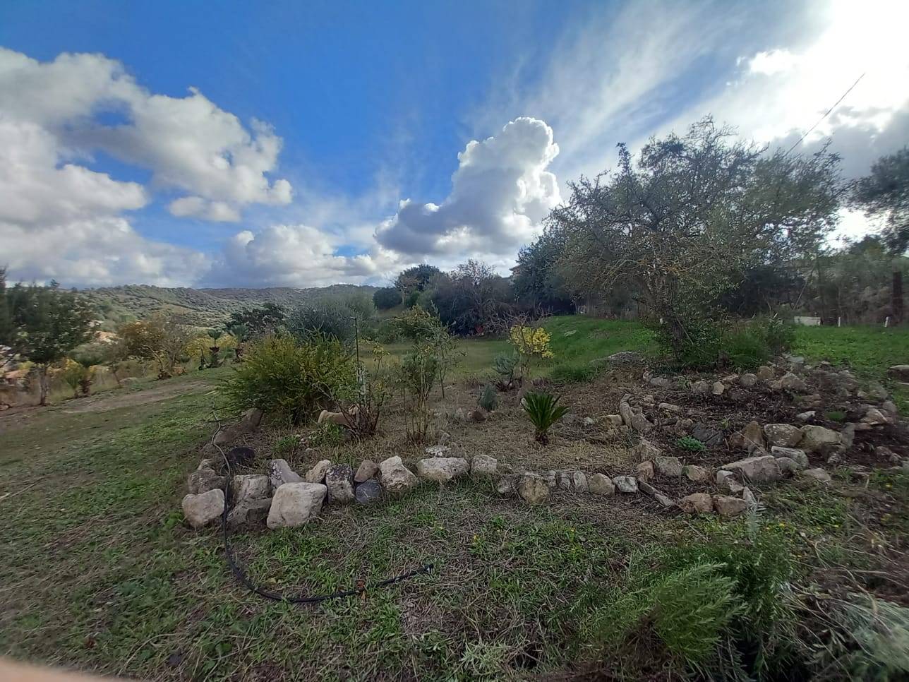 Villa o villino in vendita a Ozieri