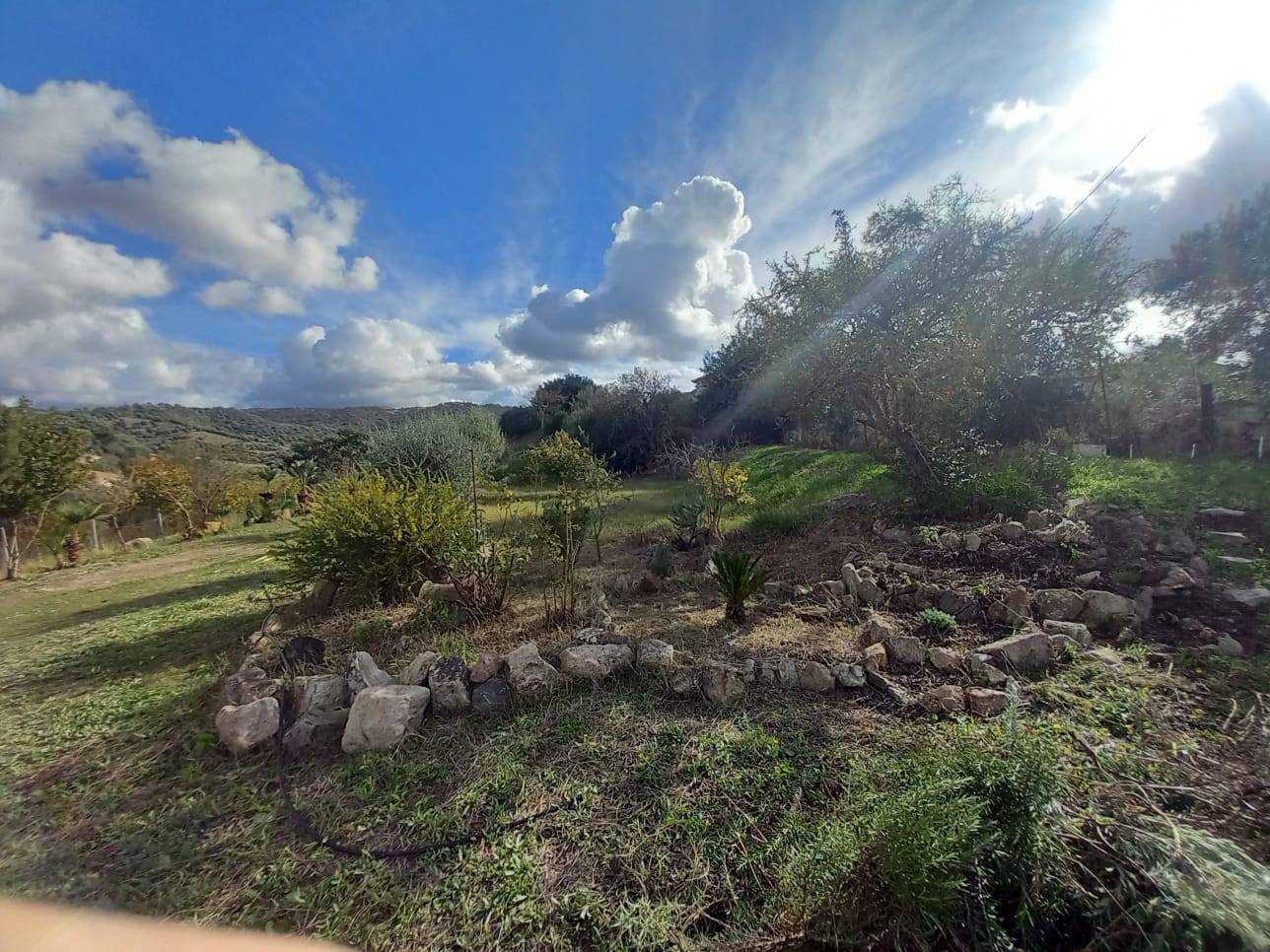 Villa o villino in vendita a Ozieri