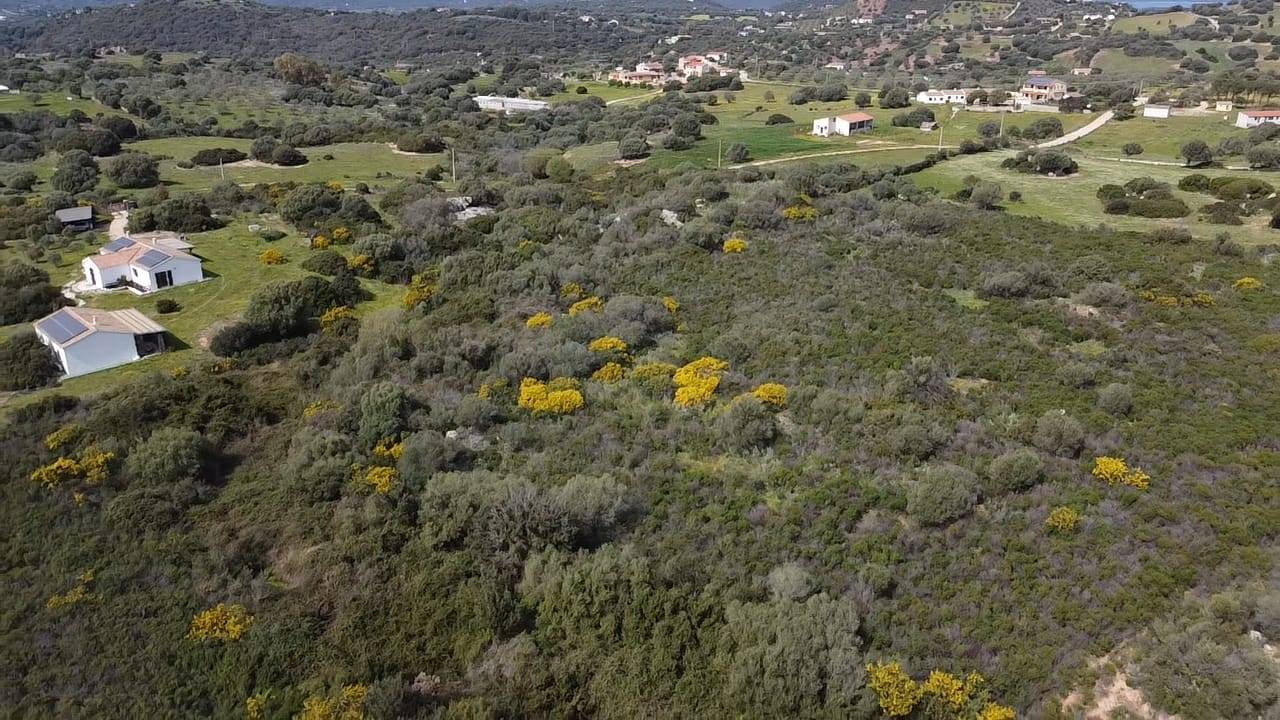 Terreno in vendita a Golfo Aranci