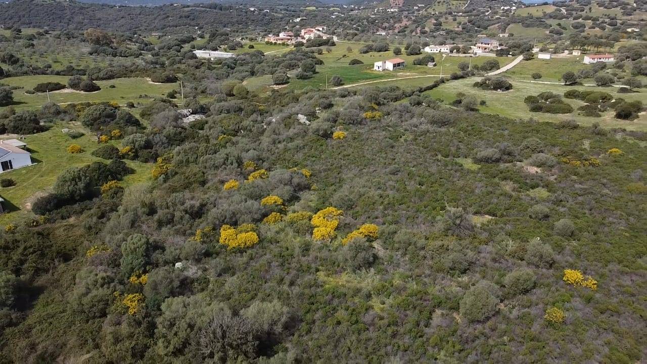 Terreno in vendita a Golfo Aranci