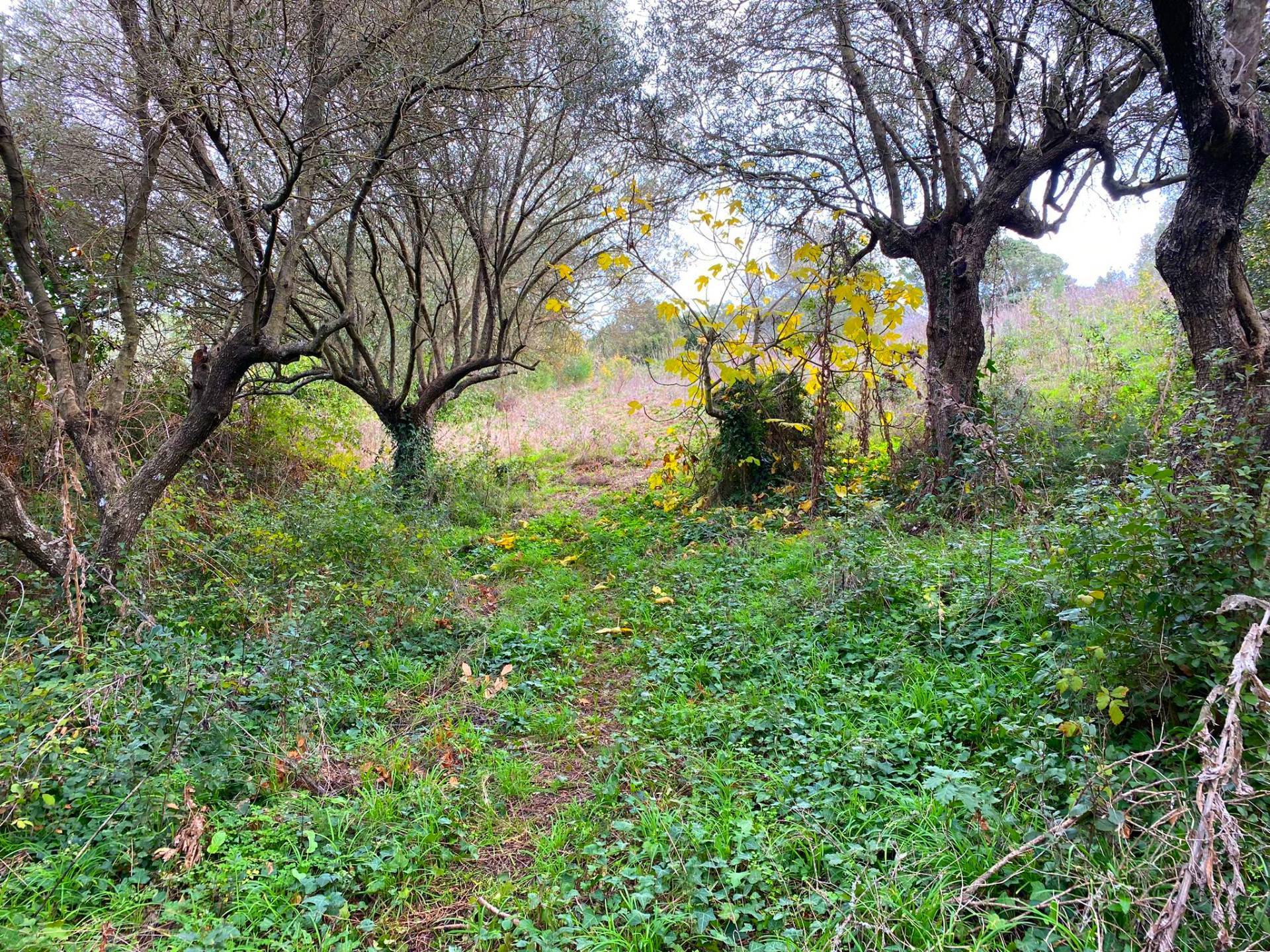 Stazzo in vendita a Luras