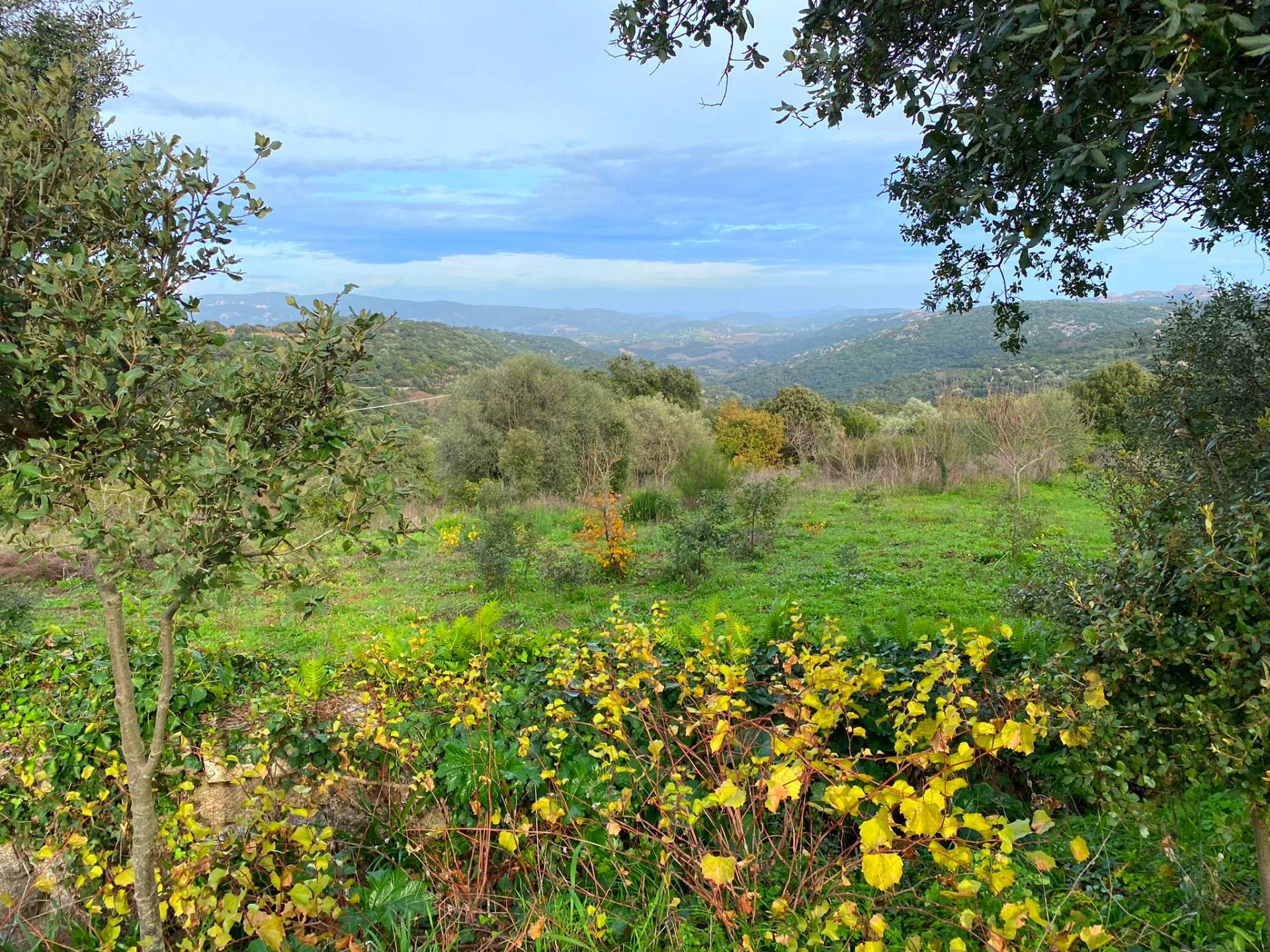 Stazzo in vendita a Luras