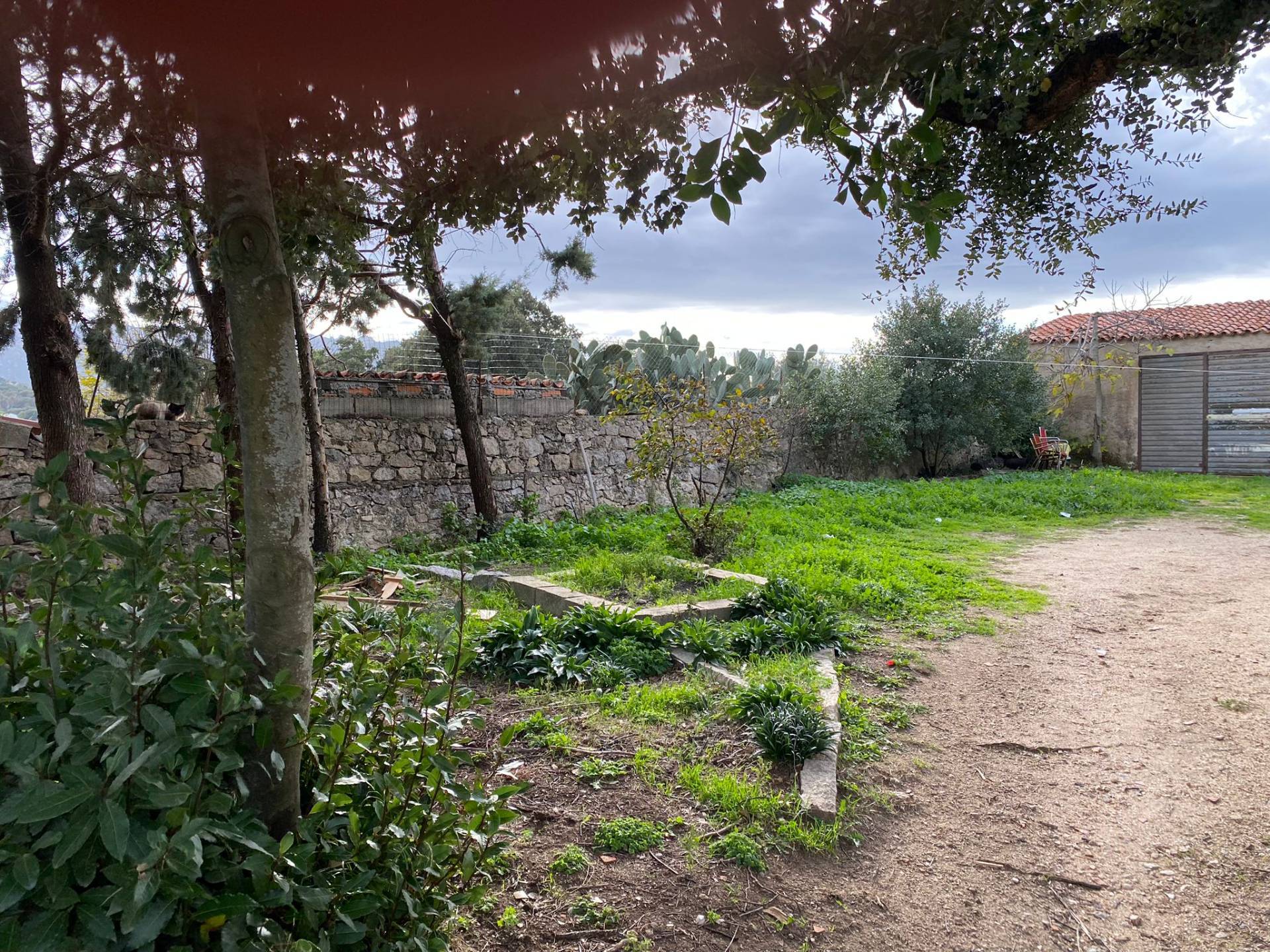 Stazzo in vendita a Luras