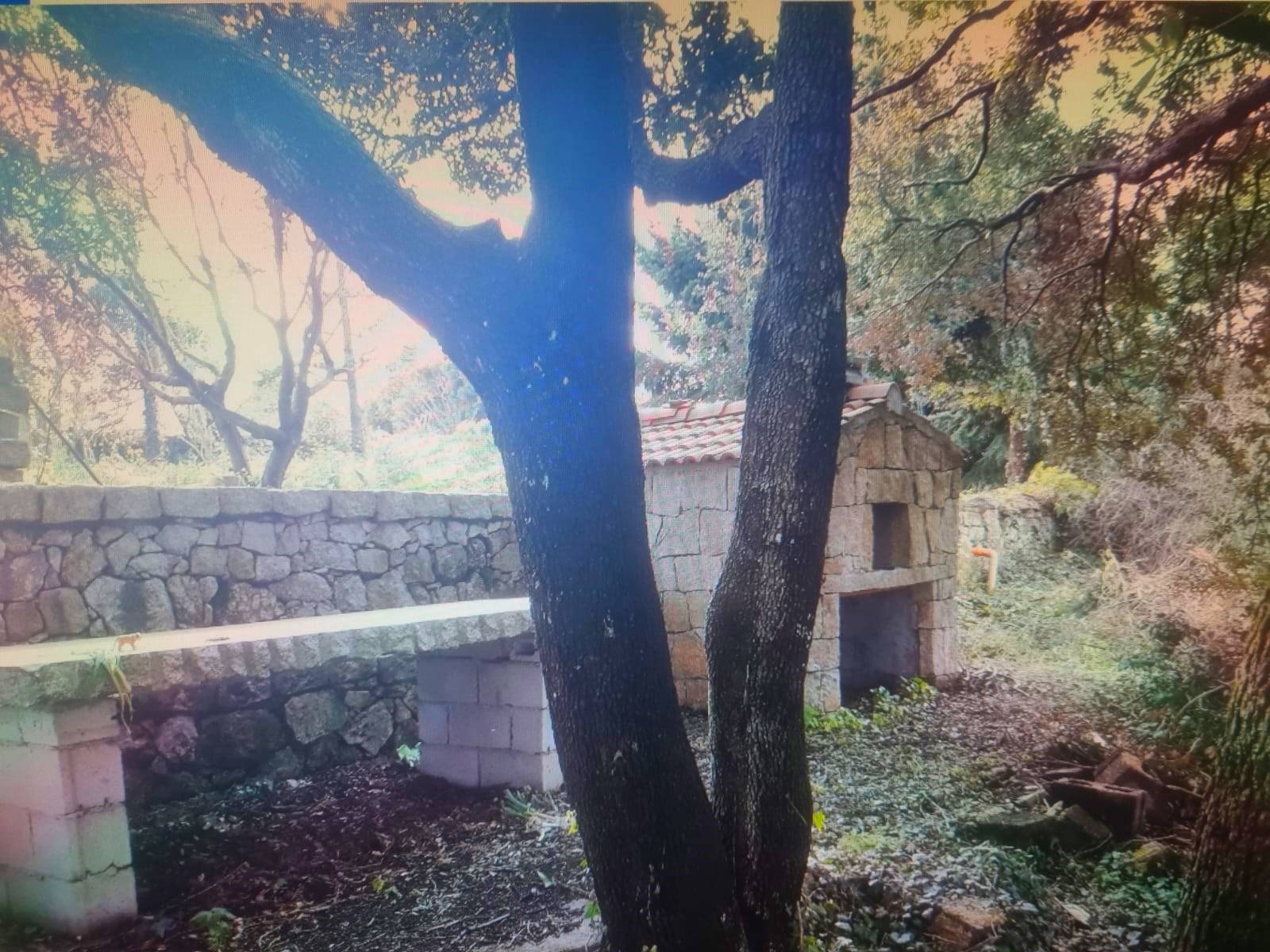 Stazzo in vendita a Luras