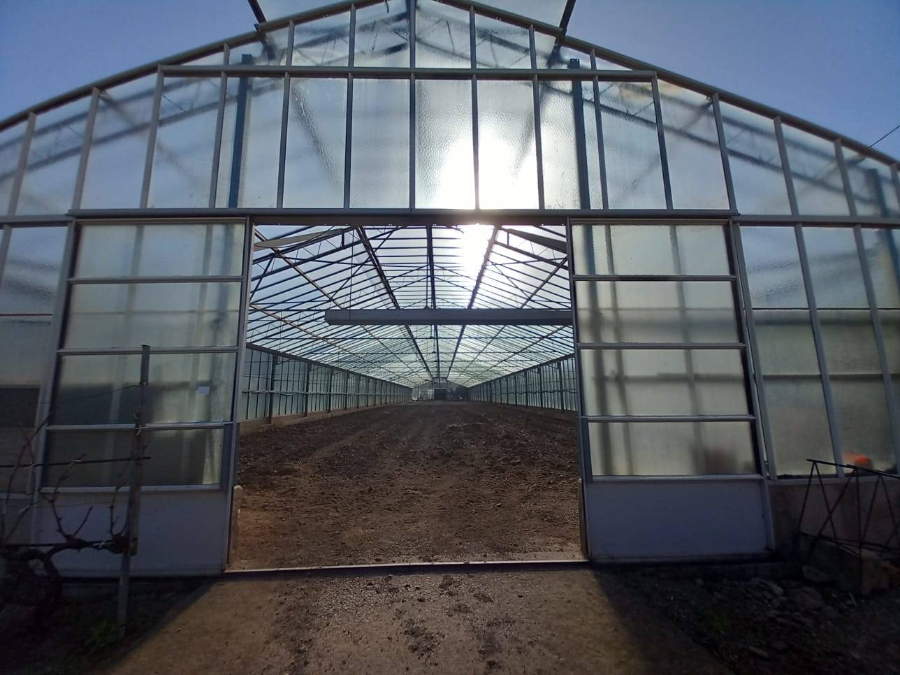 Terreno Agricolo in vendita a Ozieri