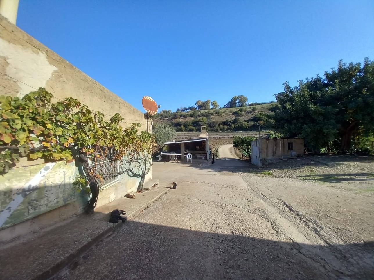 Terreno Agricolo in vendita a Ozieri