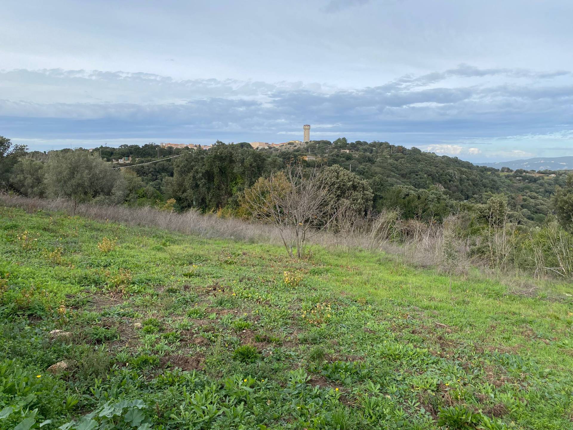 Stazzo in vendita a Luras