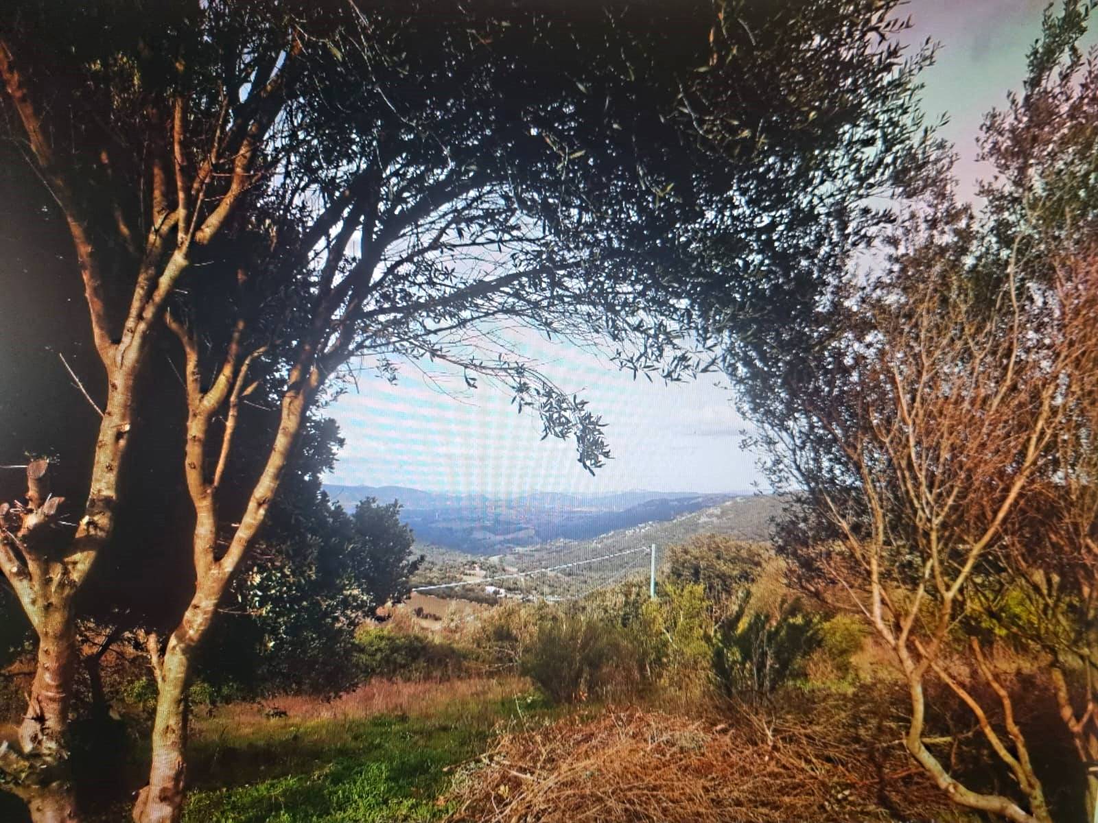 Stazzo in vendita a Luras