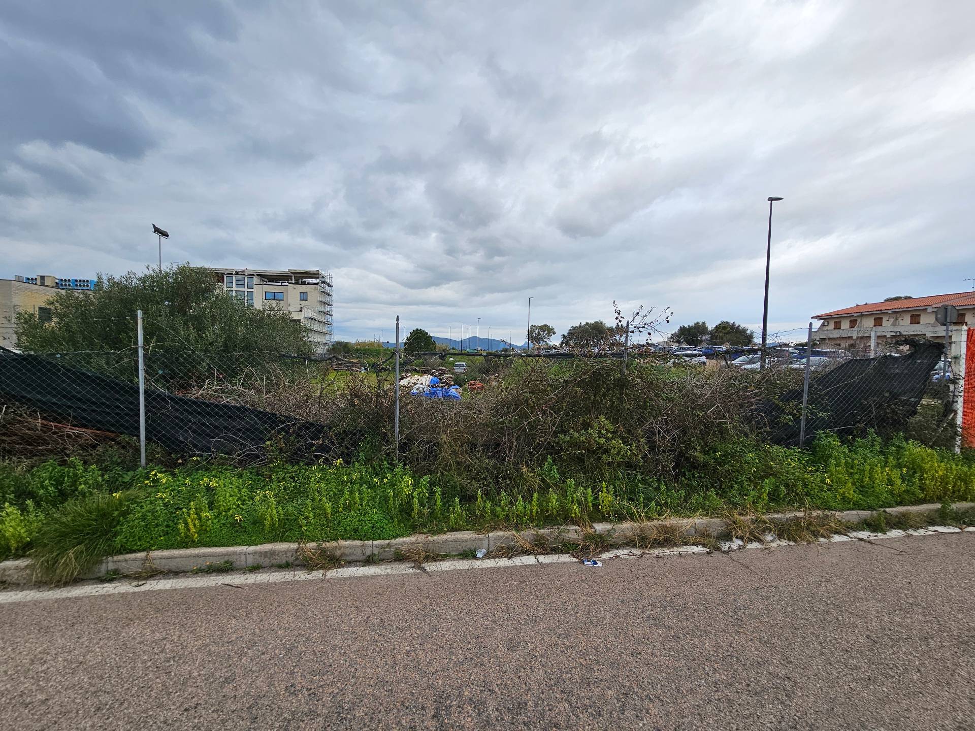 immagine annuncio 7 di 9