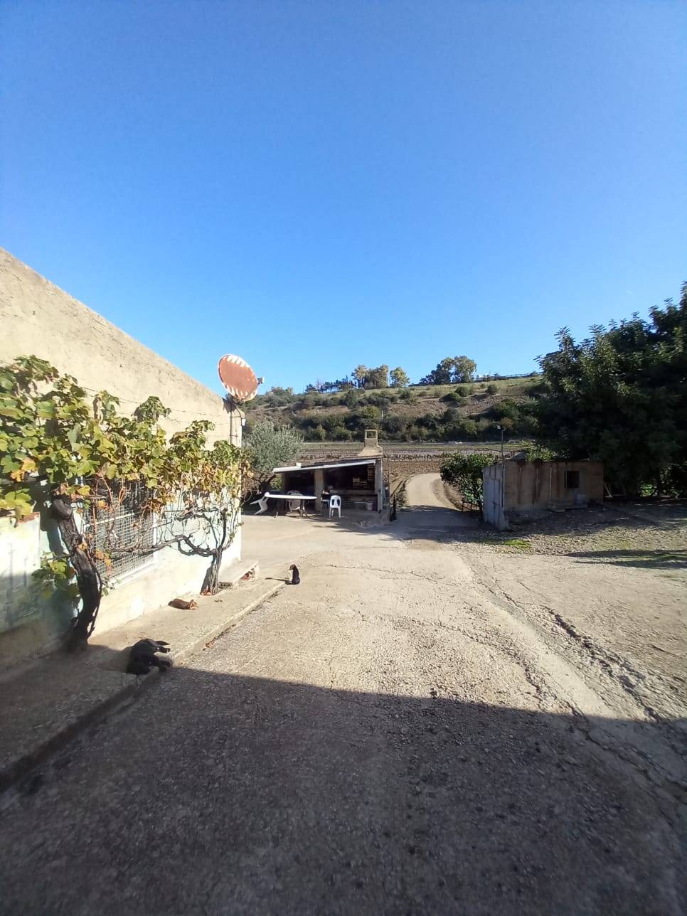 Terreno Agricolo in vendita a Ozieri