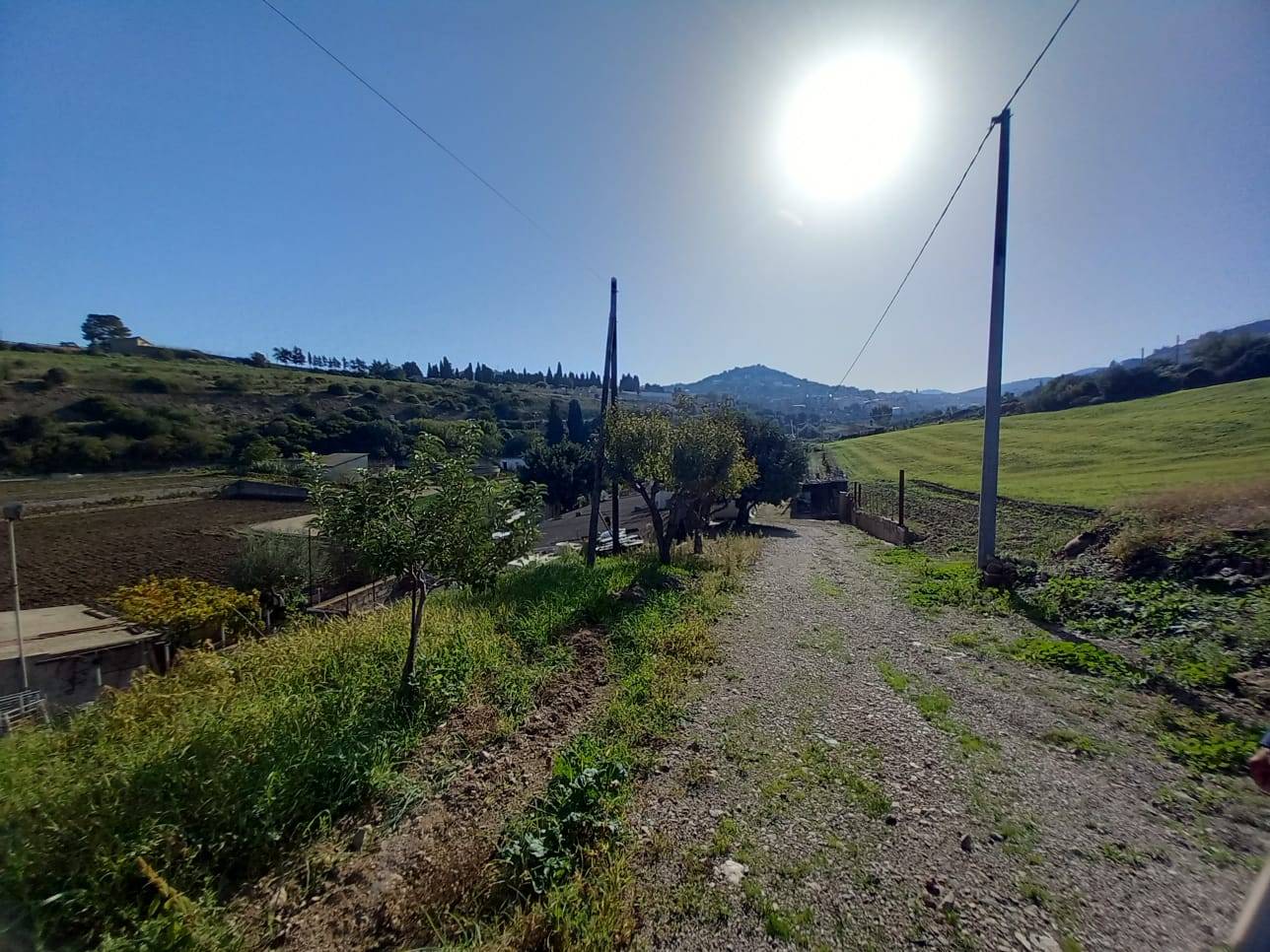 Terreno Agricolo in vendita a Ozieri