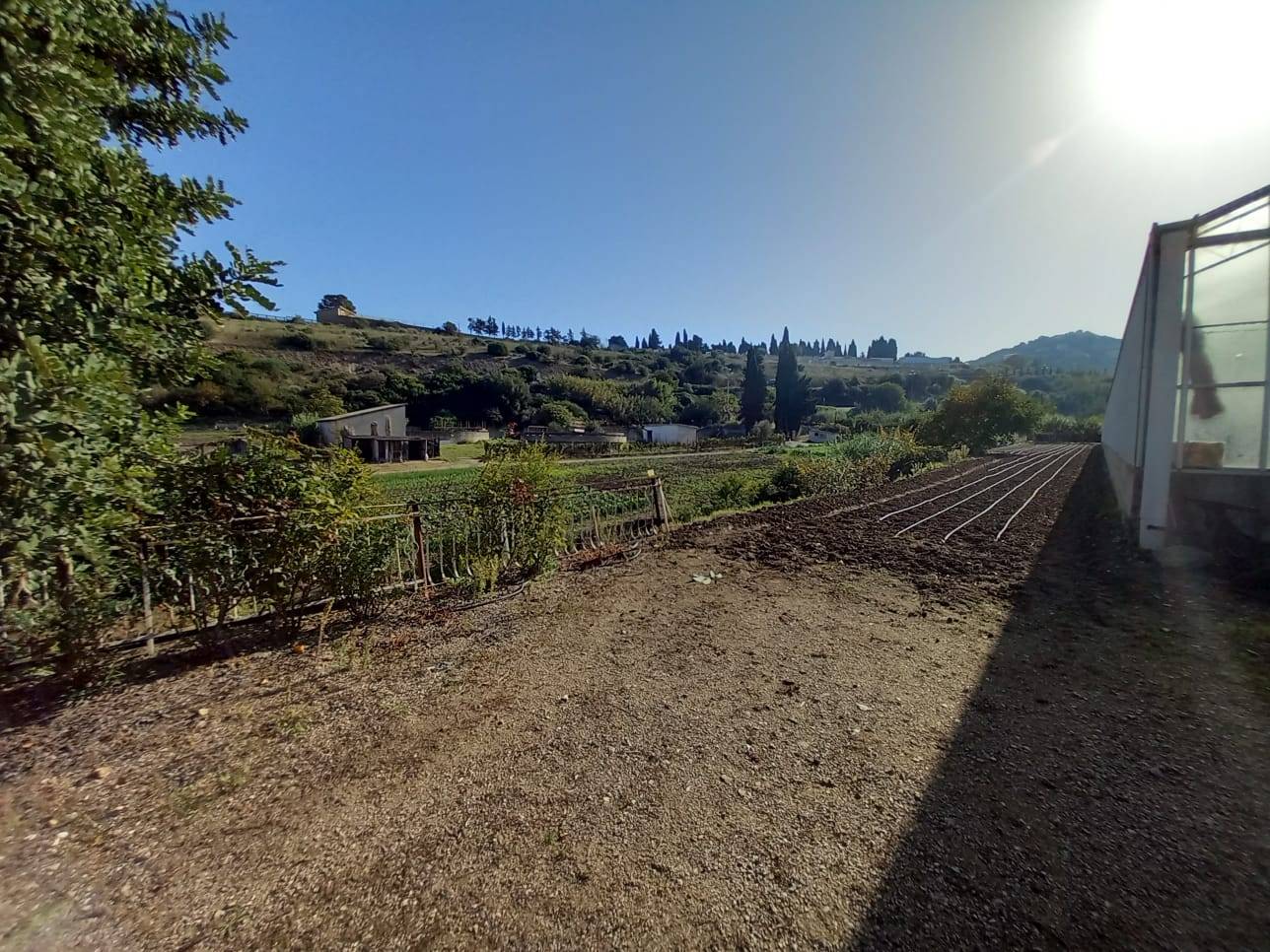 Terreno Agricolo in vendita a Ozieri